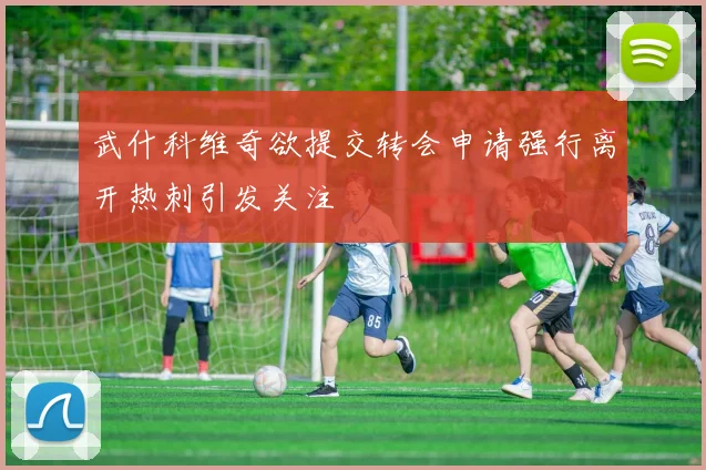 武什科维奇欲提交转会申请强行离开热刺引发关注