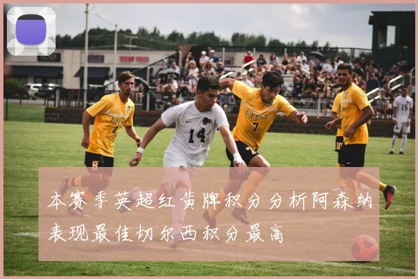 本赛季英超红黄牌积分分析阿森纳表现最佳切尔西积分最高