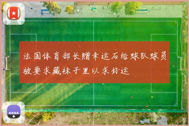 法国体育部长赠幸运石给球队球员被要求藏袜子里以求好运